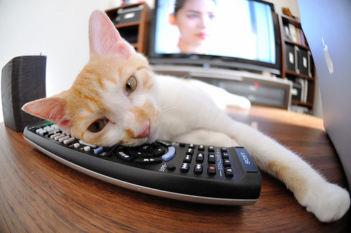 _年度盛宴:世界顶尖选手争夺桂冠,热血开启!_,世界顶级选手