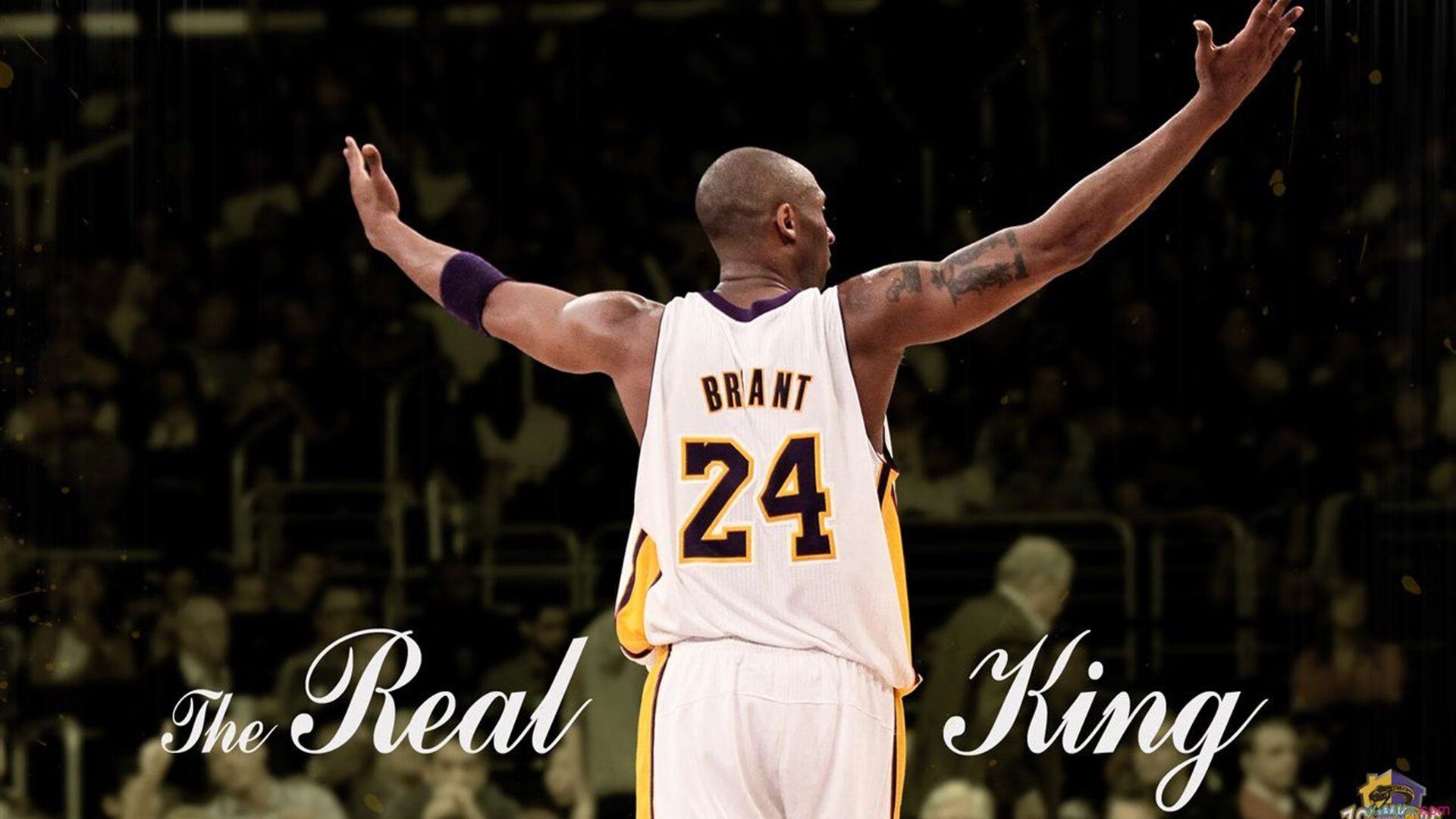 _多彩文化夜:融合音乐、舞蹈与运动的盛会_,多彩华夏舞蹈大赛