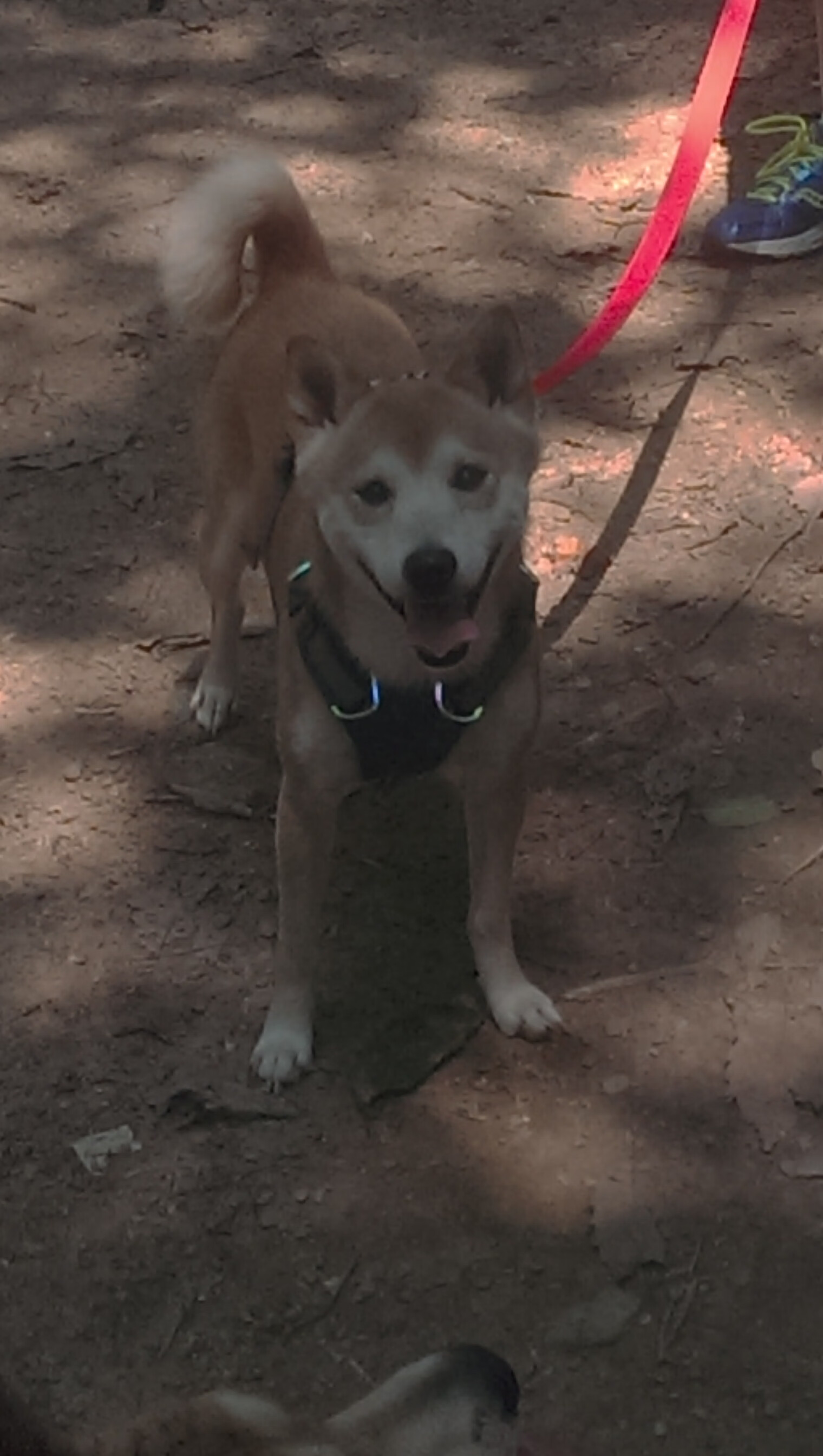 Leyu Sports (乐鱼体育)-《Dota 2年度大赛，天王战队再度称王》，dota2历届ti决赛