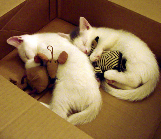 【经典逆转】赛事回顾:顶级运动员如何用战术扭转局势?,体育史上十大逆转