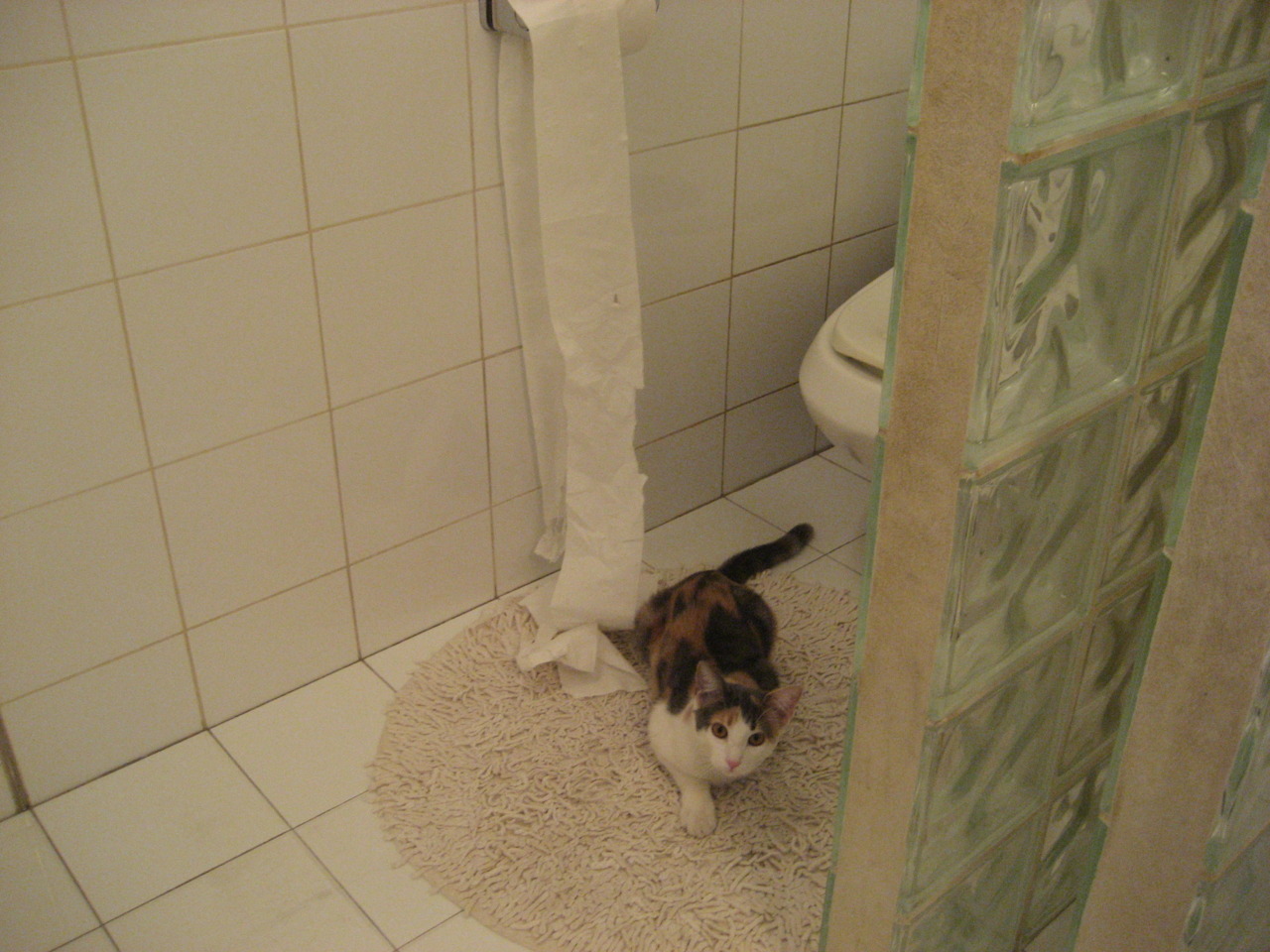 乐鱼vip-免费青少年足球培训项目多地启动，普及率不断提高，青少年足球培训 国家补贴