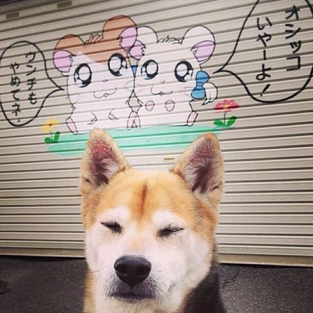 国际电竞大赛赛程公布,精彩赛事锁定观众眼球,国际电子竞技大赛