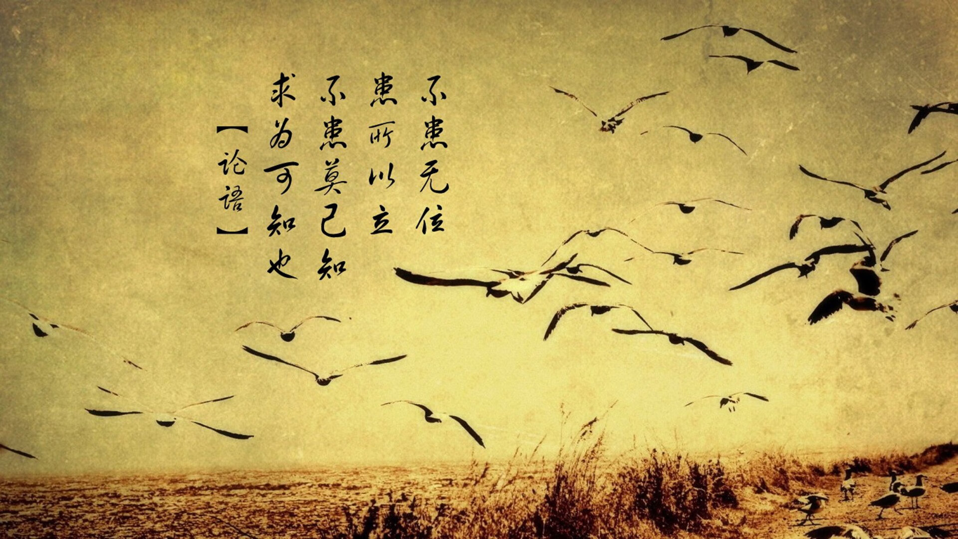 法甲巴黎5-1大胜里尔,内马尔连续助攻,内马尔大巴黎进球