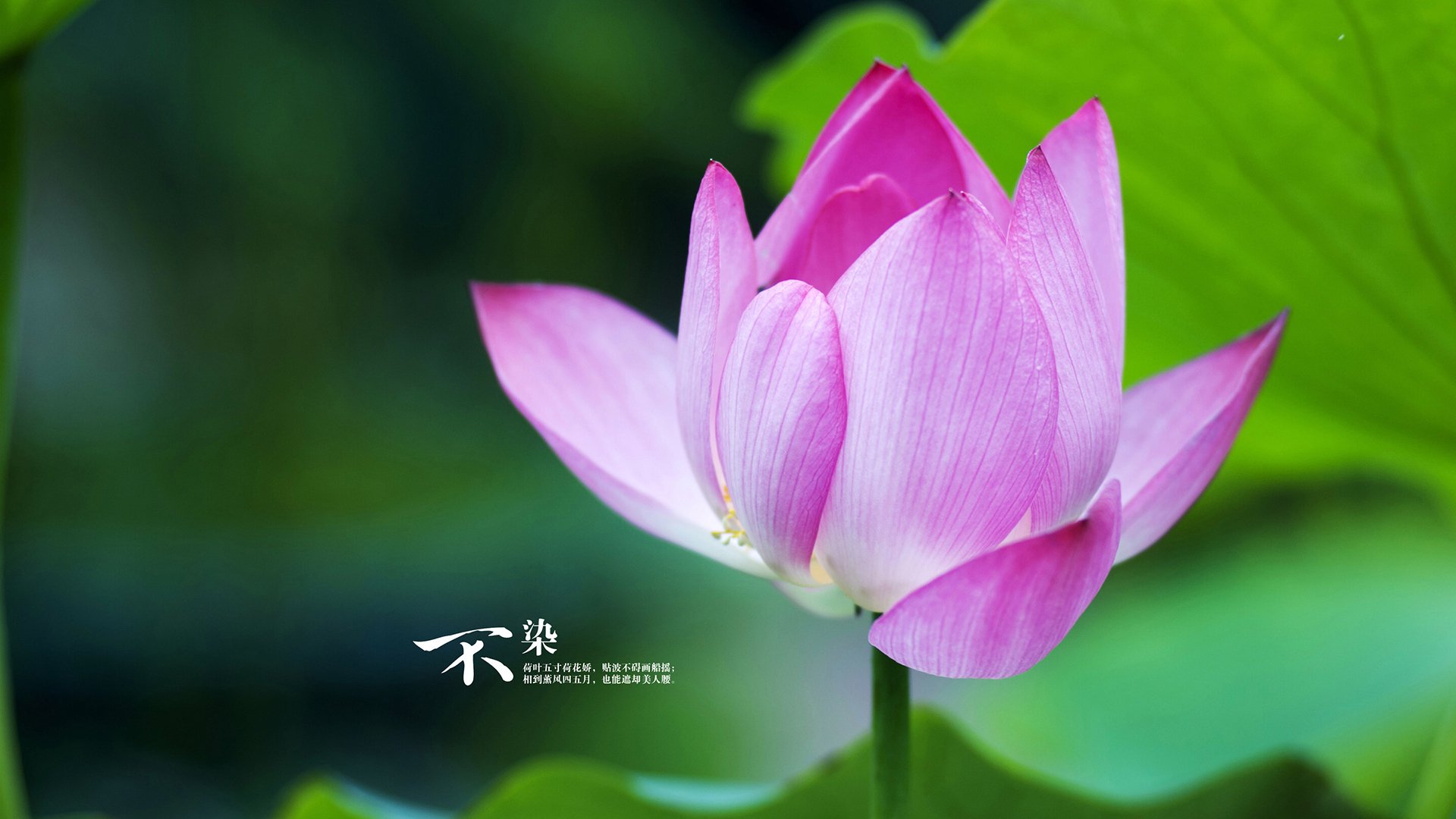 球员纪律规范：近期高调事件盘点，球员kj