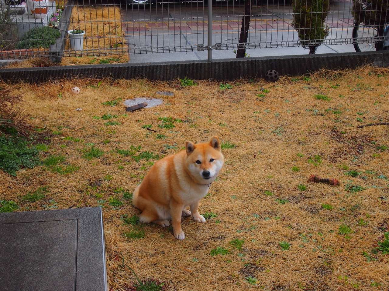 电竞产业链创新融资方式助力行业发展，电竞产业与其他产业的融合