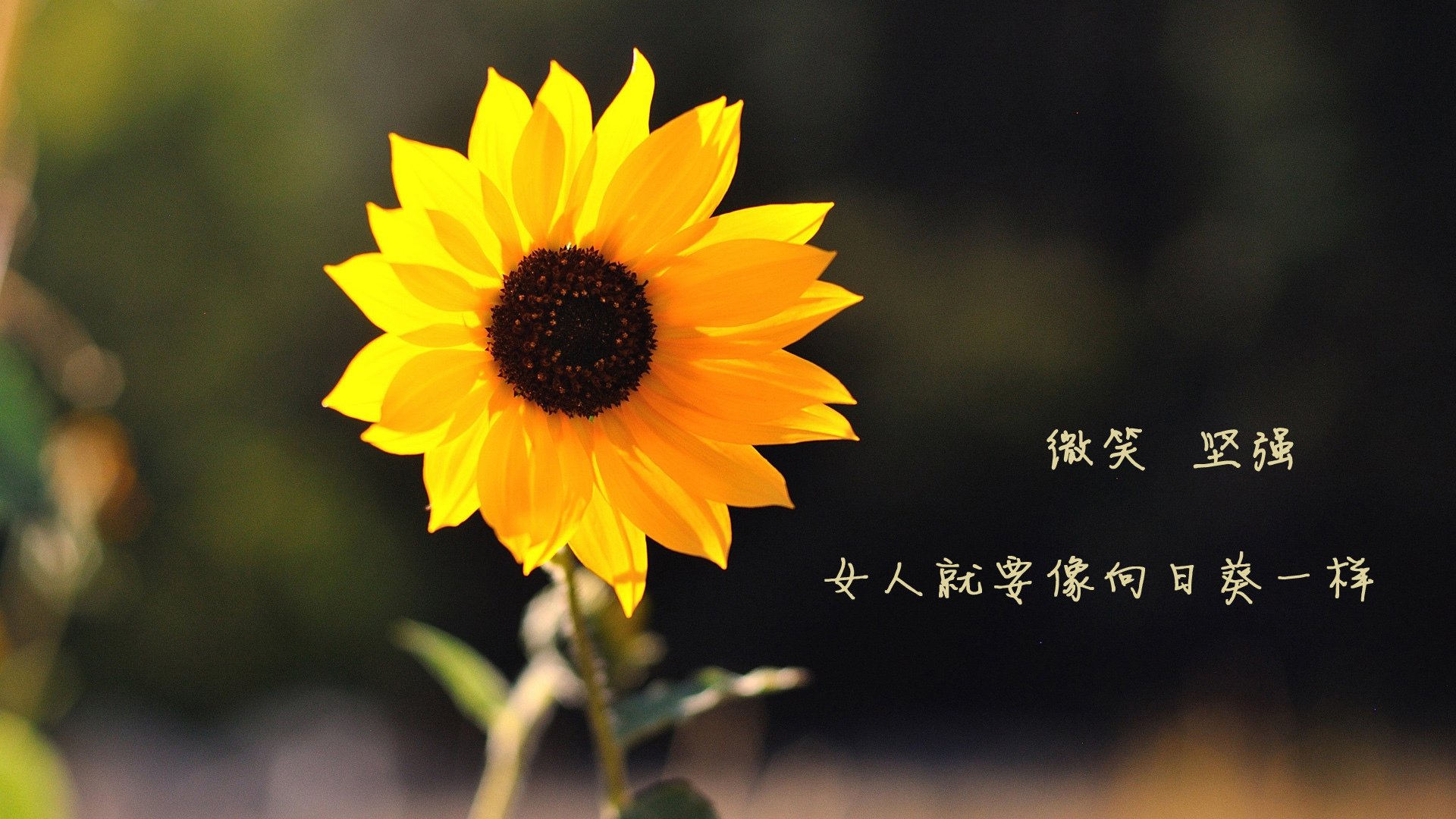 电竞产业链创新融资方式助力行业发展，电竞产业与其他产业的融合