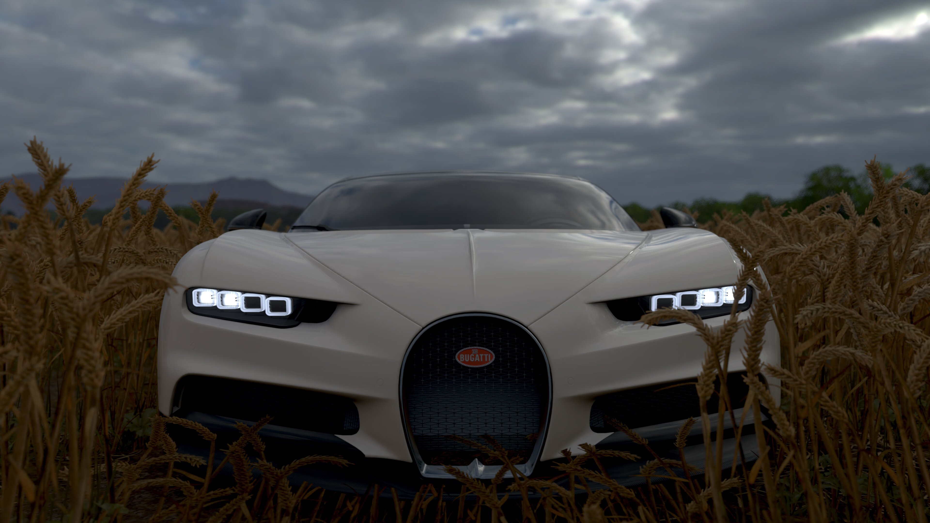 赛季闪光点：运动精神的极致表现