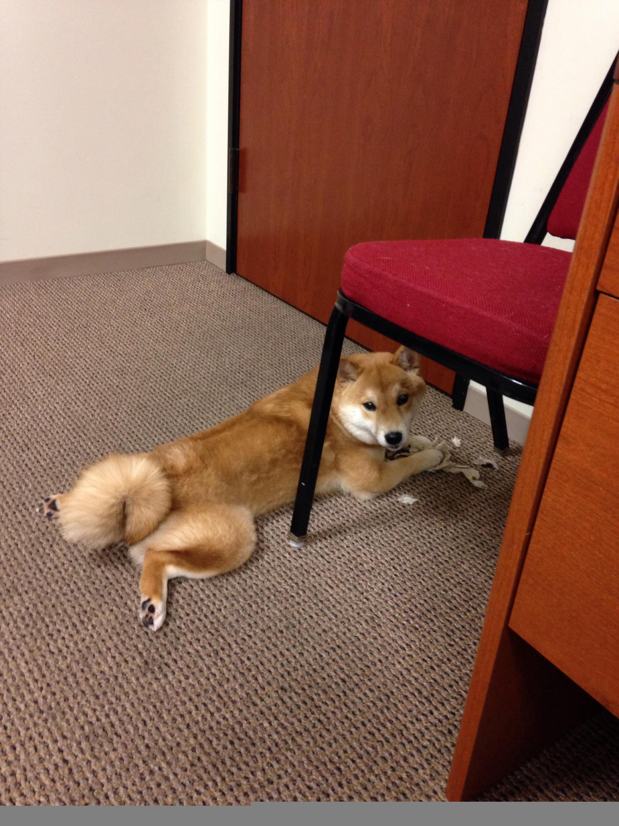 逆转战神:那些在危机中逆天改命的队伍,逆转战线