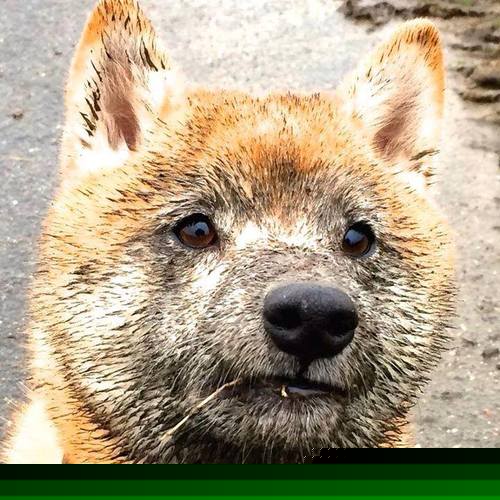 NBA选秀大会掀起波澜,新秀脱颖而出,nba的选秀大会