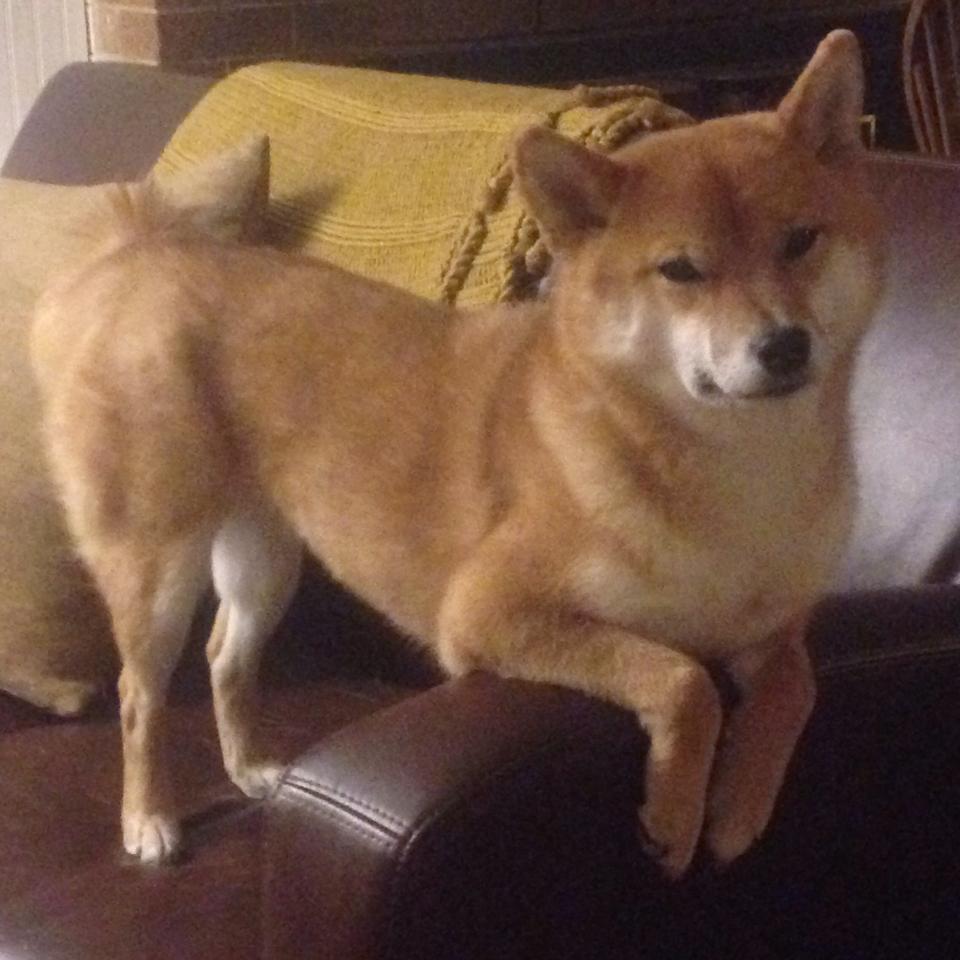 中国女足世界杯备战，加速冲击世界强队，中国女足世界杯备战,加速冲击世界强队的是谁