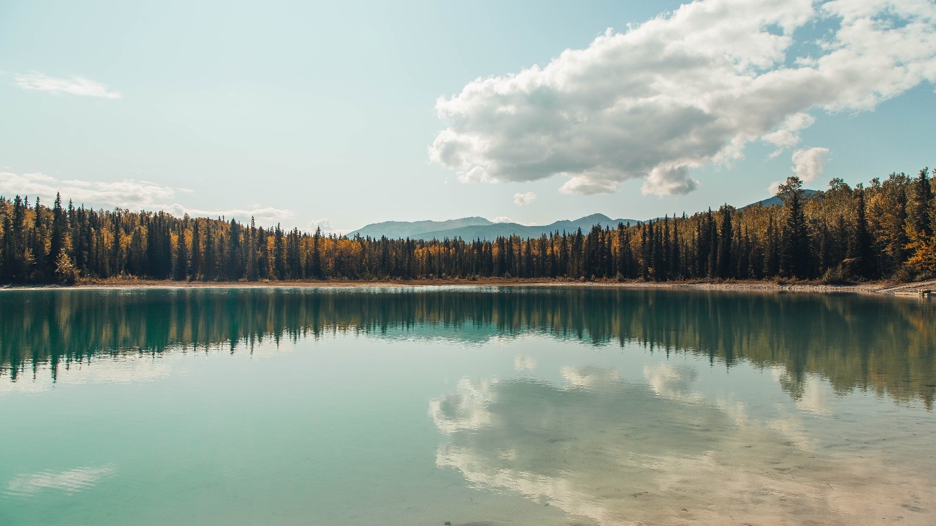 中国女足卫冕世界杯冠军 力争登上巅峰称霸世界，中国女足2021世界杯冠军是真的吗