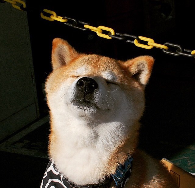 世界巨星将在篮球国际赛事中交锋，篮球国际巨星排名