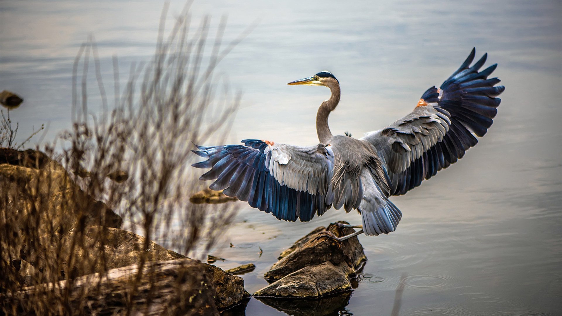 亲子健身课程开设，促进亲子关系，亲子互动健身