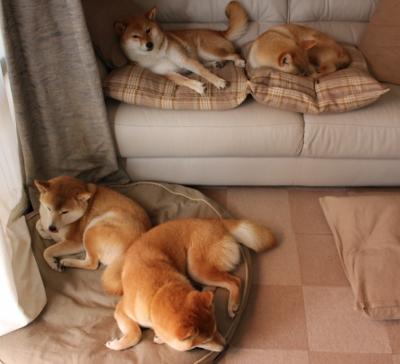 切尔西女足赛后教练战术点评，切尔西女足队长