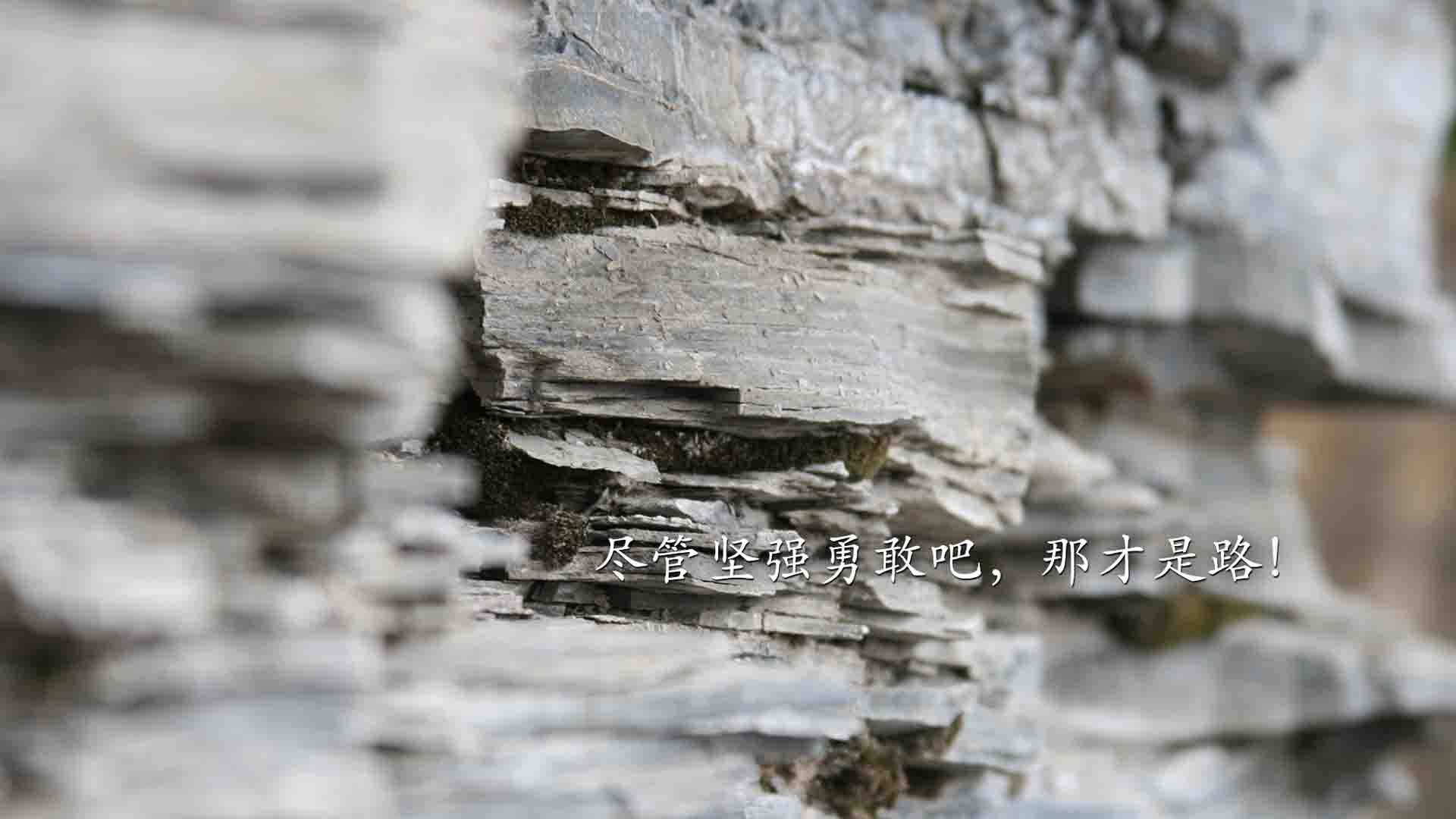 原州东浦新世代替补席深度提升，原州东浦新世代vs高阳猎户座