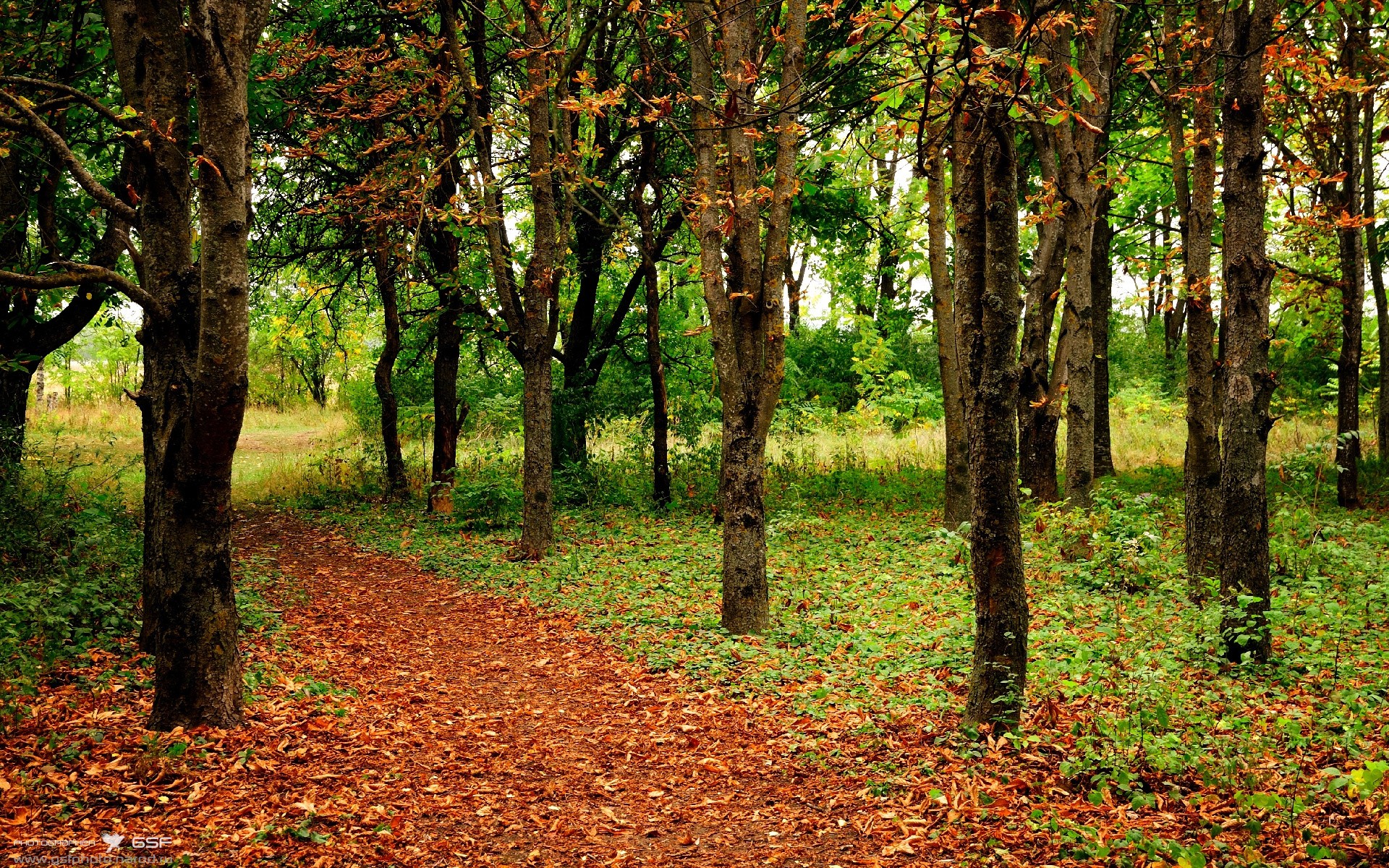 乐鱼（中国）体育官方网站-巴黎普利斯客场轻取马赛，豪取联赛领跑，parsons巴黎