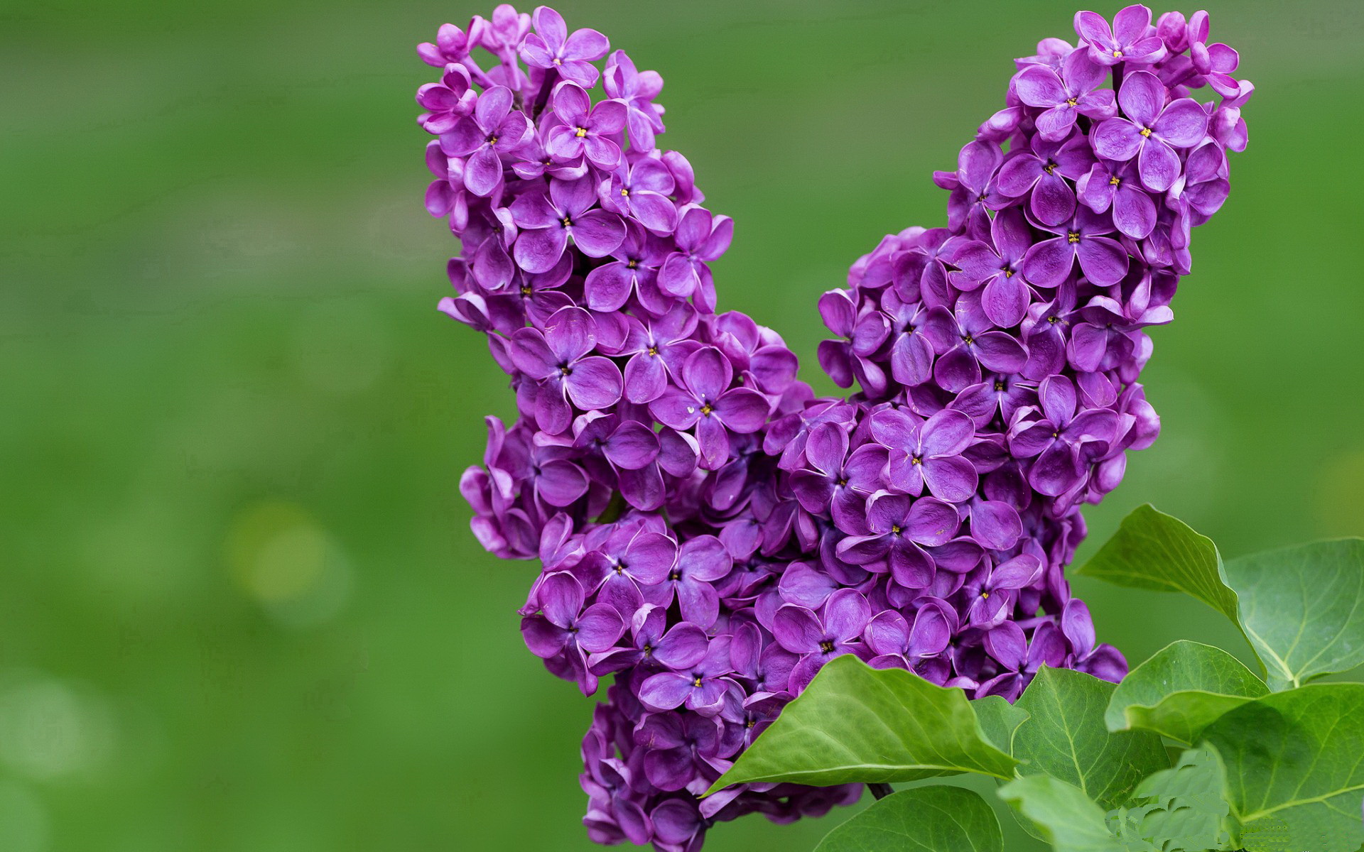 拜仁慕尼黑逆境求变,新帅上任改观未卜,拜仁慕尼黑新球员