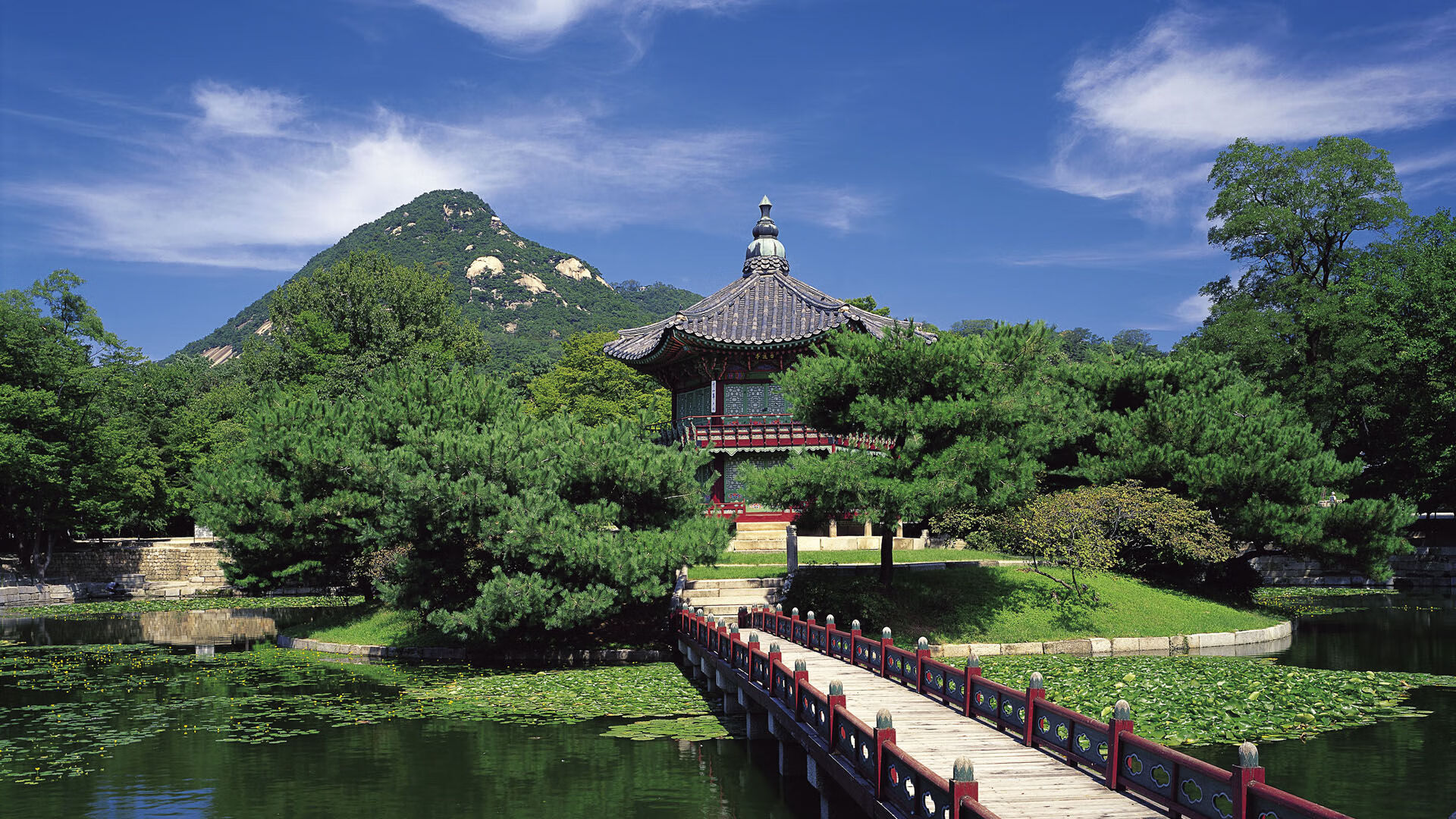 摩纳哥客场逆袭，成功晋级下一轮，摩纳哥官方