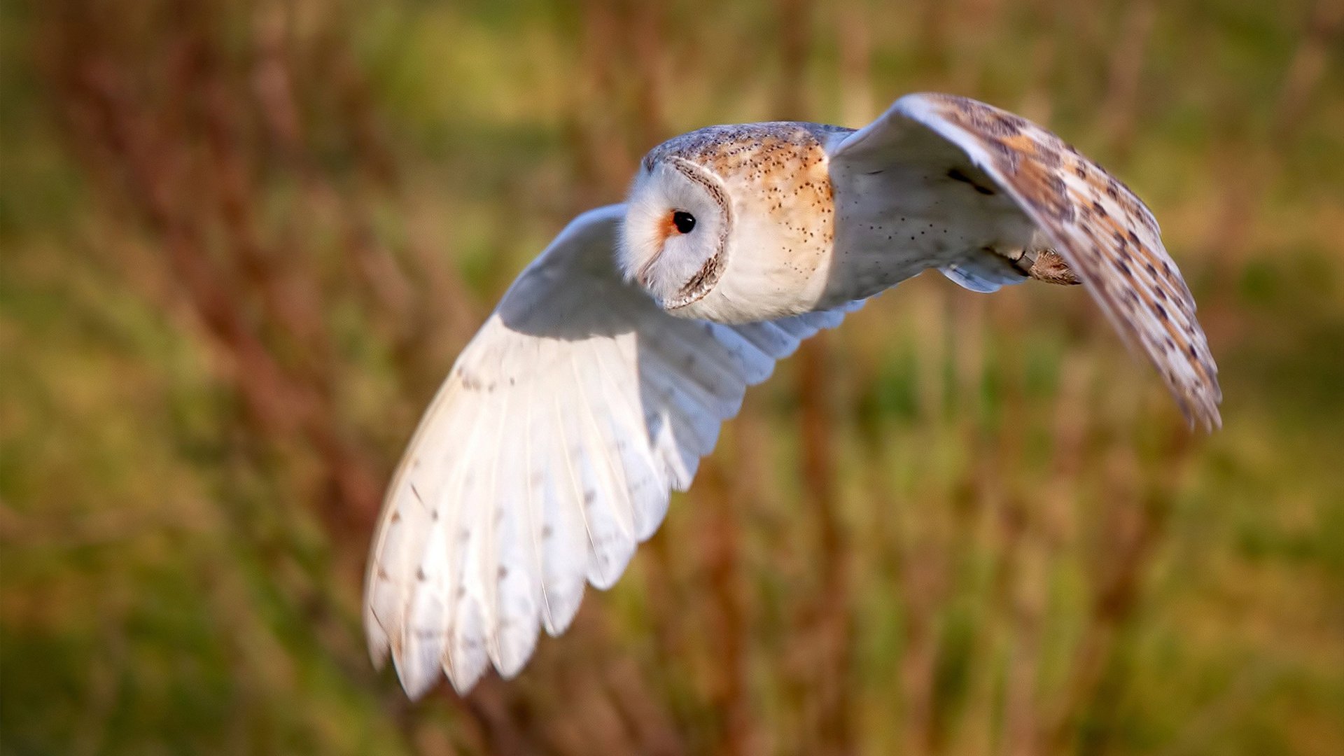 普拉提与功能性训练结合,推出新型课程,普拉提的功能