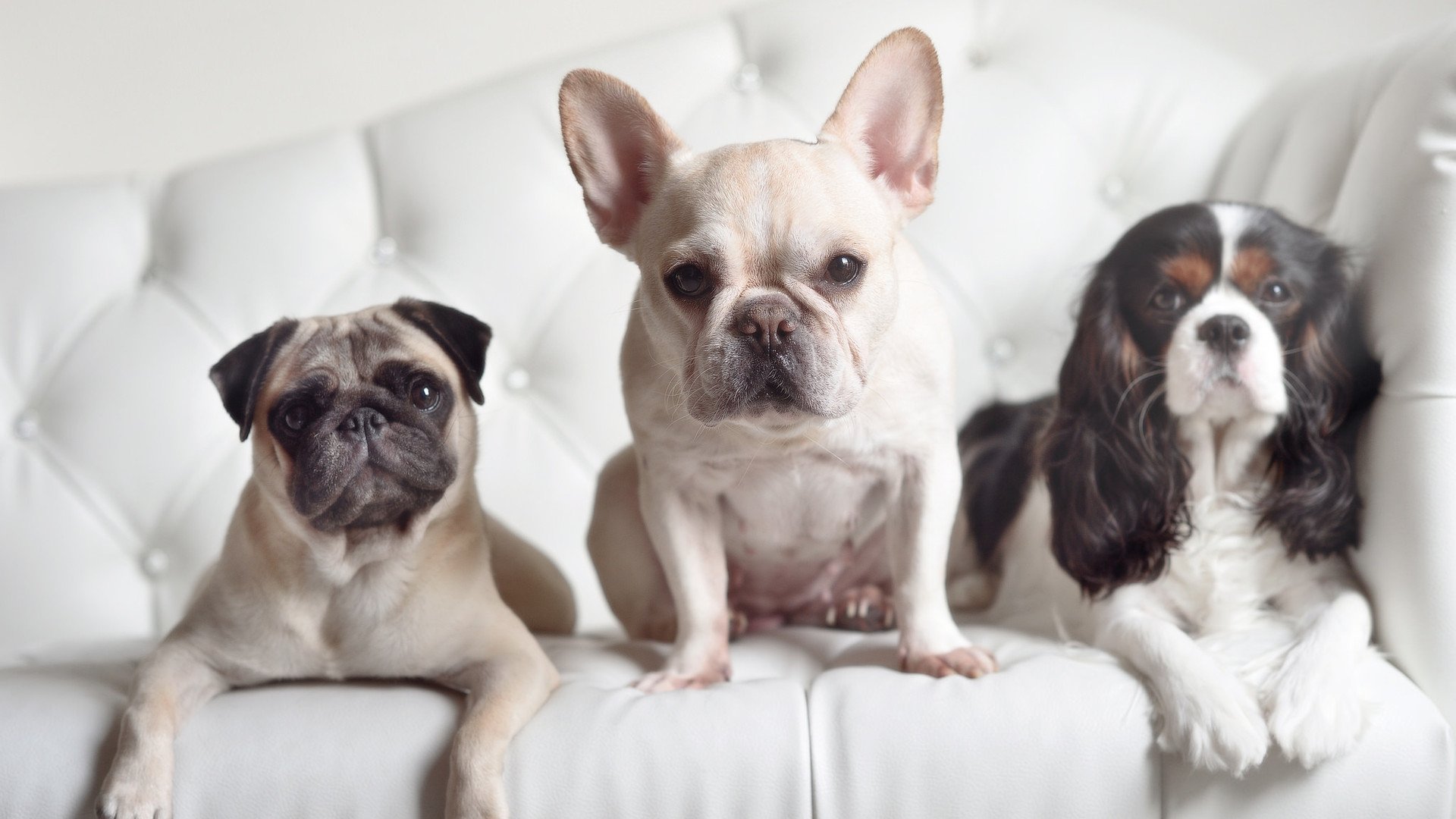 火爆足球比赛中球员传球配合默契，足球传球配合训练视频