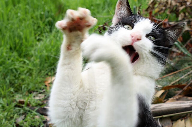 电竞城市基础设施升级助力赛事举办，电竞基地建设