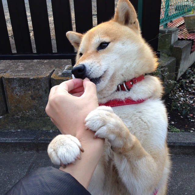 LEYU乐鱼体育官方网站-青海男篮翻盘成功，逆风翻盘实现奇迹，青海篮球谁的水平最好