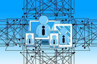 乐鱼（中国）体育官方网站-中国青少年篮球发展政策实施与推广策略，青少年篮球发展现状及对策研究