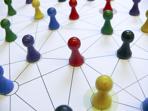 Leyu Sports (乐鱼体育)-国足换人策略与比分变化关系，国足换帅一说的准确性到目前依然无从核实