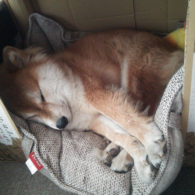 意甲球队利用情绪识别算法调整赛中鼓励语句内容