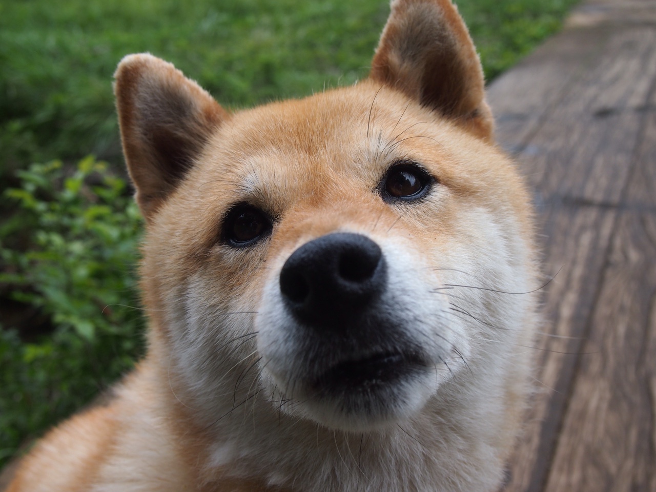 西甲球队热区分析调整防守布局策略，西甲热度