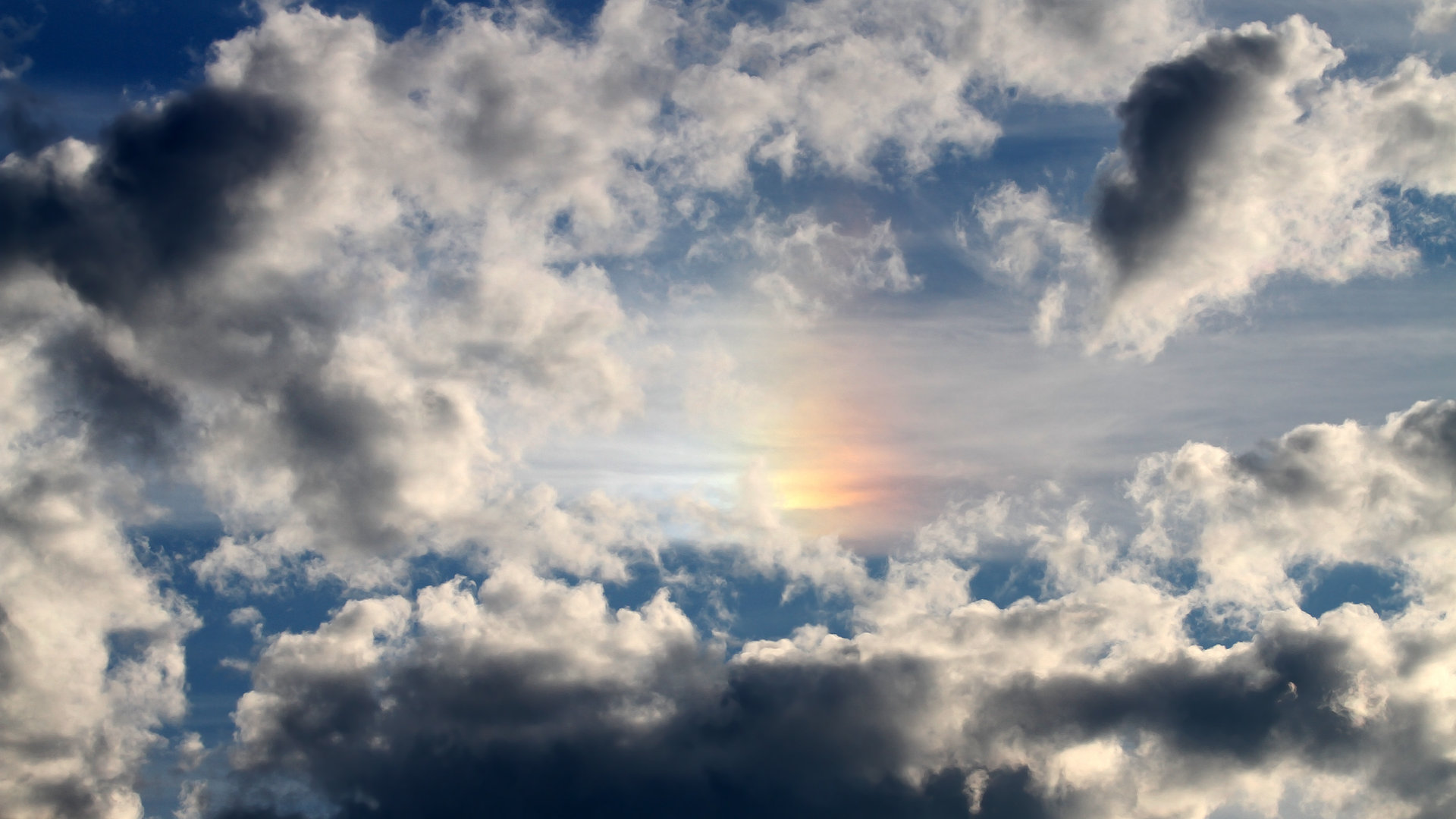 CBA球队注重未来人才培养,cba球队价值