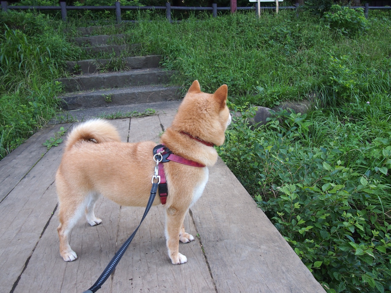 体育新闻中心联合高校开展体育内容创新创业大赛，全国体育院校大学生体育产业创新创业策划大赛