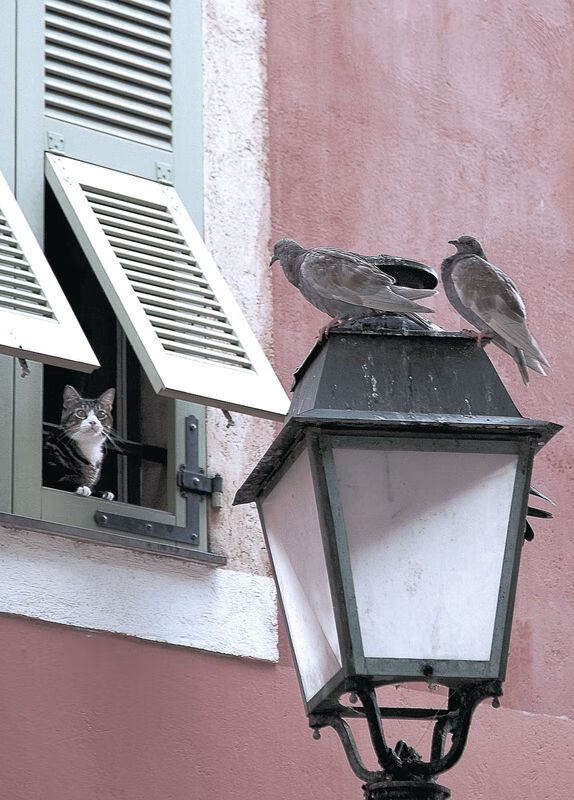 拜仁边路进攻体系将被更多对手模仿，拜仁左边路