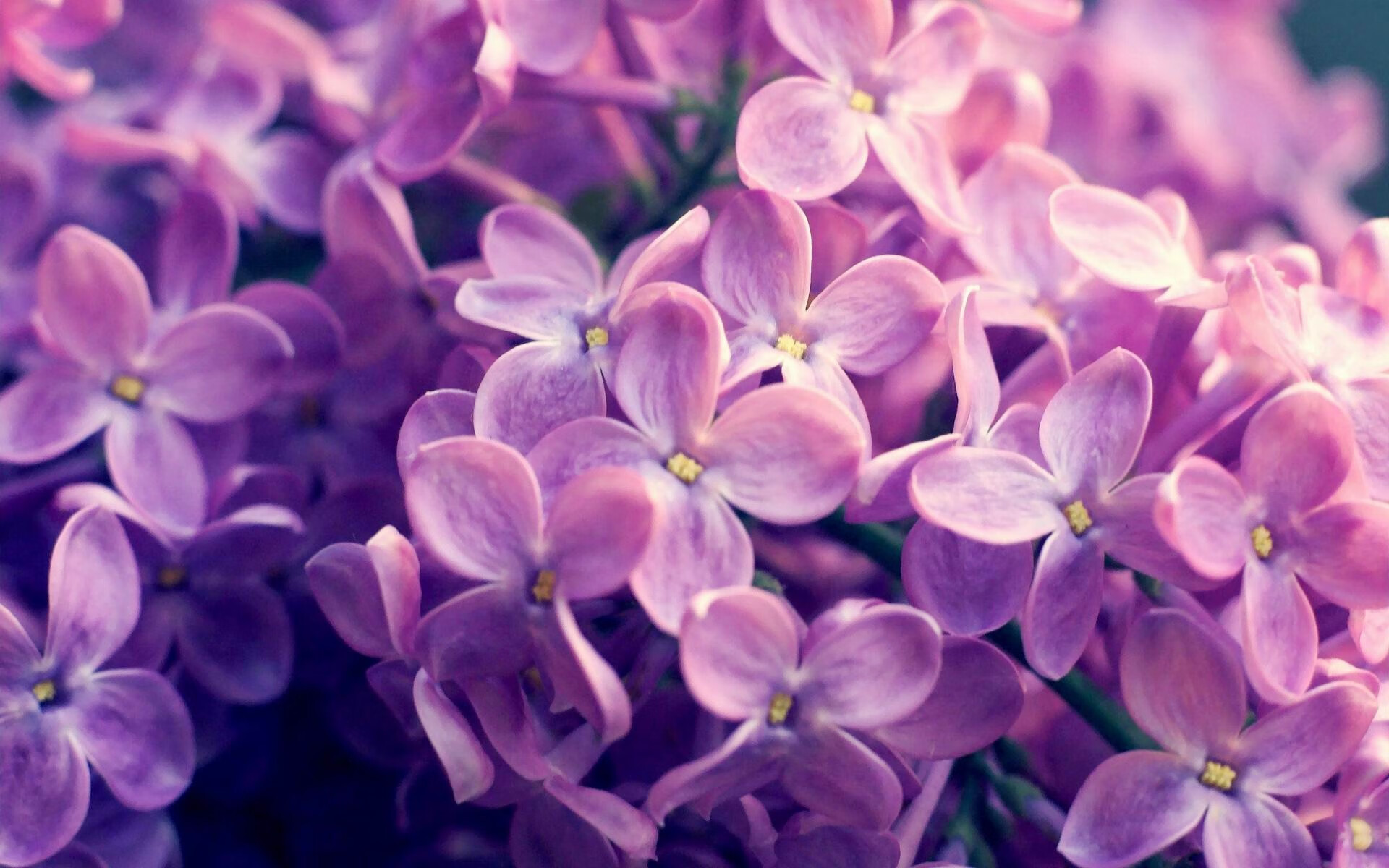 比赛节奏变化是否会影响全队投篮重心，篮球比赛节奏太快