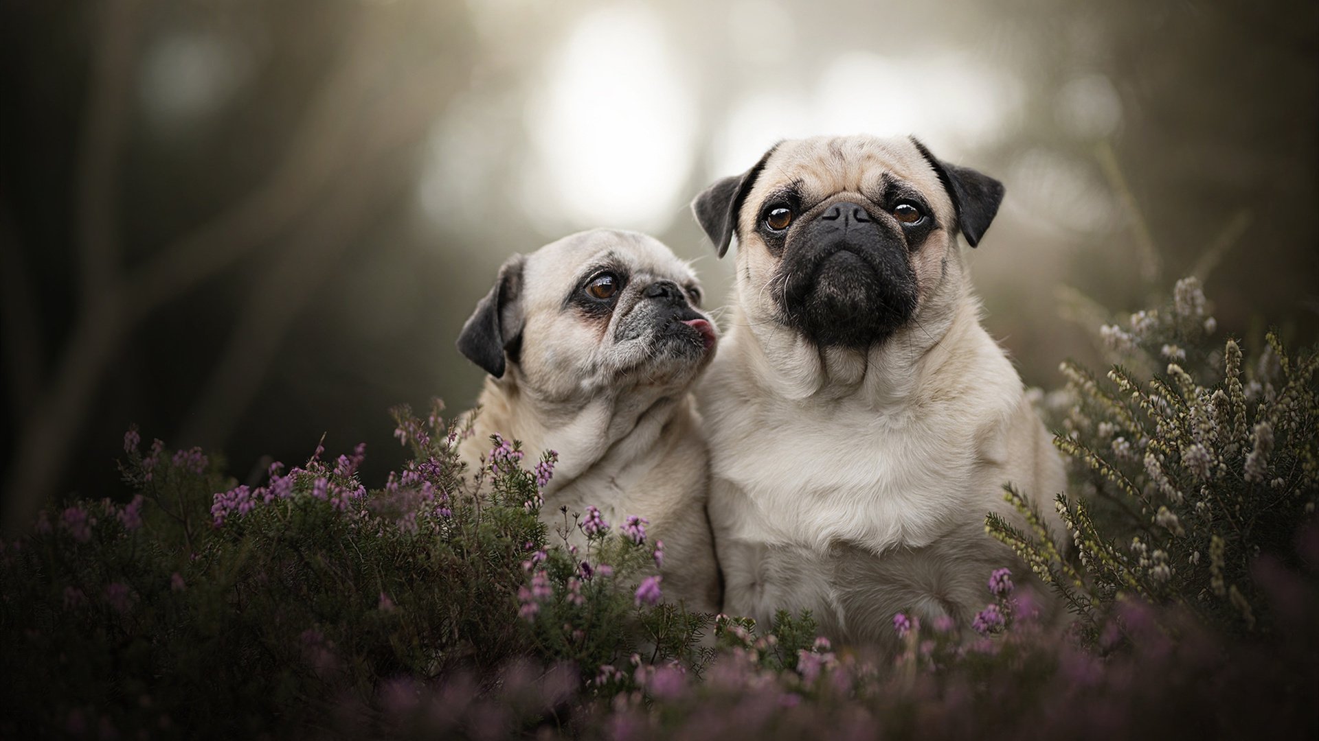 世界杯战火激烈：逆转奇迹惊天地泣鬼神！，世界杯惊天大逆转