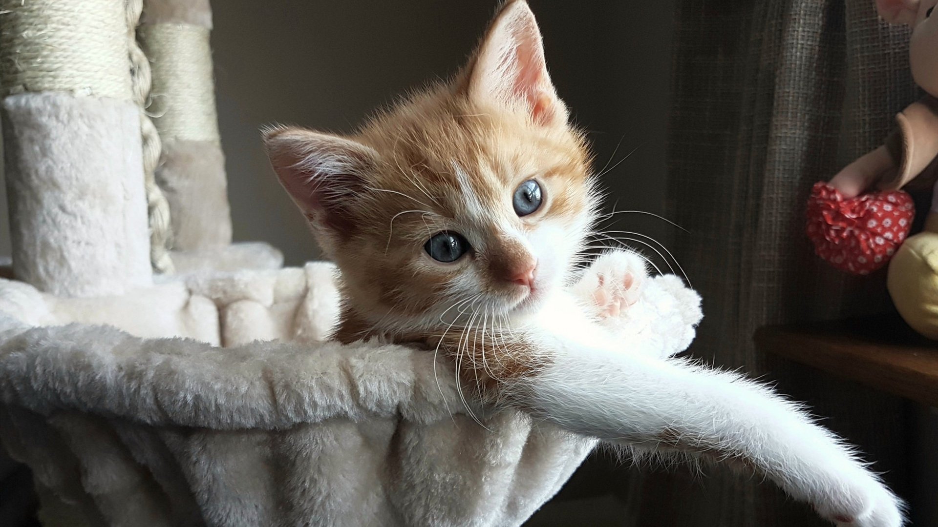 恩多比·恩乔：在比赛中用精湛的脚法和战术能力帮助南非队扩大战果