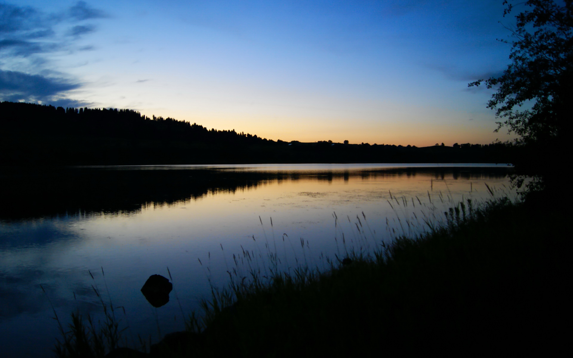 自由泳接力朝鲜团队默契十足,自由泳韩国教学视频