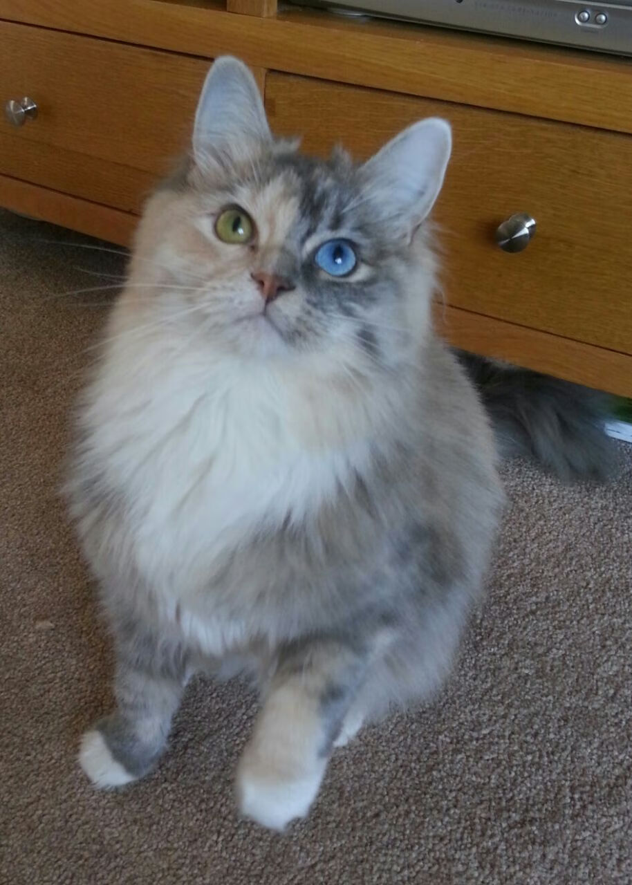 leyu.com-西甲决战一触即发：精彩瞬间让人惊叹！，西甲决赛时间